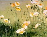 In The Midday Sun